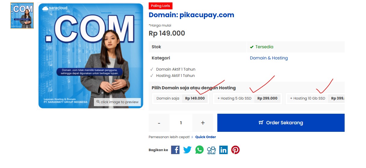 Cara Mudah Beli Domain dan Hosting di Saracloud.id 3 Pilih jenis layanan